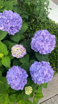 ハルカス300(展望台)に投稿された画像（2023/6/10）