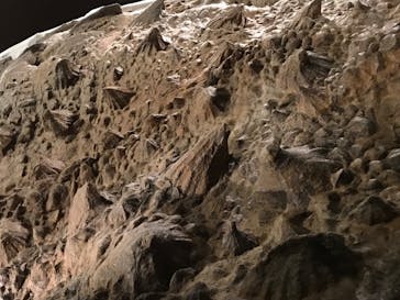 特別展「恐竜博2023」に投稿された画像（2023/6/10）