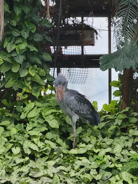 神戸どうぶつ王国に投稿された画像（2023/6/10）