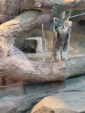 神戸どうぶつ王国に投稿された画像（2023/6/10）