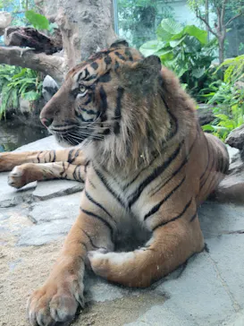 神戸どうぶつ王国に投稿された画像（2023/6/10）