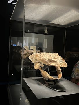 特別展「恐竜博2023」に投稿された画像（2023/6/10）