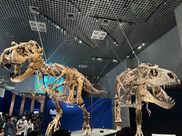 特別展「恐竜博2023」に投稿された画像（2023/6/10）