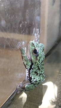 到津の森公園に投稿された画像（2023/6/10）