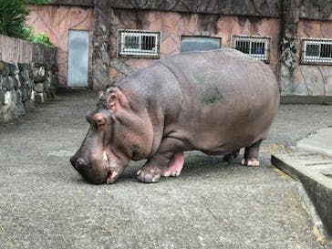 日立市かみね動物園に投稿された画像（2023/6/10）