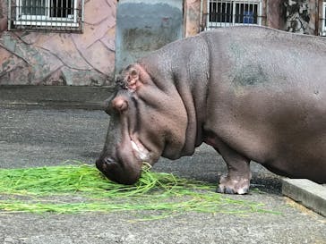 日立市かみね動物園に投稿された画像（2023/6/10）
