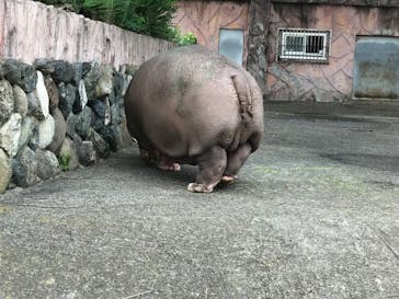 日立市かみね動物園に投稿された画像（2023/6/10）