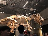 特別展「恐竜博2023」に投稿された画像（2023/6/10）
