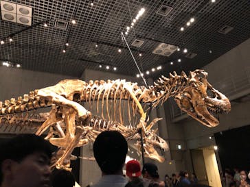 特別展「恐竜博2023」に投稿された画像（2023/6/10）