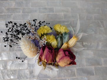 ずこうしつ〜sugamo〜に投稿された画像（2023/6/10）