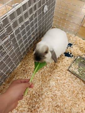 いきもの探検隊湘南に投稿された画像（2023/6/10）