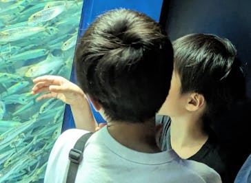 サンシャイン水族館に投稿された画像（2023/6/10）