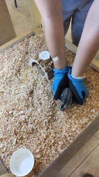 Moff animal world BIGHOPガーデンモール印西店に投稿された画像（2023/6/10）