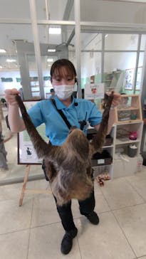 Moff animal world BIGHOPガーデンモール印西店に投稿された画像（2023/6/10）