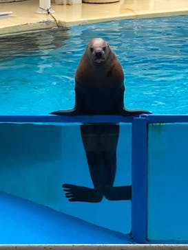 伊豆・三津シーパラダイスに投稿された画像（2023/6/10）