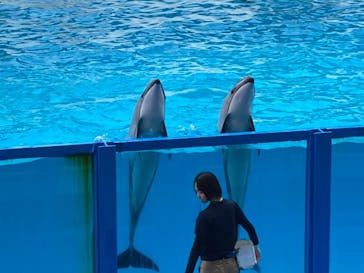 伊豆・三津シーパラダイスに投稿された画像（2023/6/10）