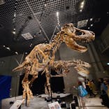 特別展「恐竜博2023」に投稿された画像（2023/6/10）