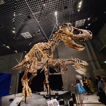 特別展「恐竜博2023」に投稿された画像（2023/6/10）
