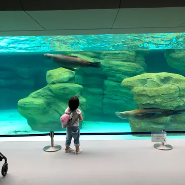 天王寺動物園に投稿された画像（2023/6/10）