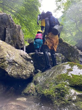 自然派企画に投稿された画像（2023/6/10）