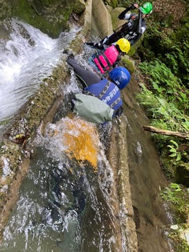 自然派企画に投稿された画像（2023/6/10）
