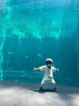 環境水族館アクアマリンふくしまに投稿された画像（2023/6/10）