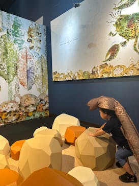 環境水族館アクアマリンふくしまに投稿された画像（2023/6/10）