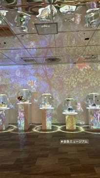 NARA KINGYO MUSEUMに投稿された画像（2023/6/10）