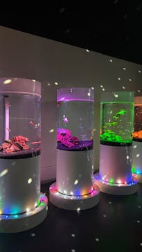 NARA KINGYO MUSEUMに投稿された画像（2023/6/10）