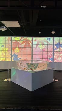 NARA KINGYO MUSEUMに投稿された画像（2023/6/10）