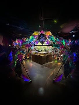 NARA KINGYO MUSEUMに投稿された画像（2023/6/10）