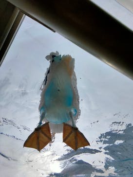 サンシャイン水族館に投稿された画像（2023/6/10）