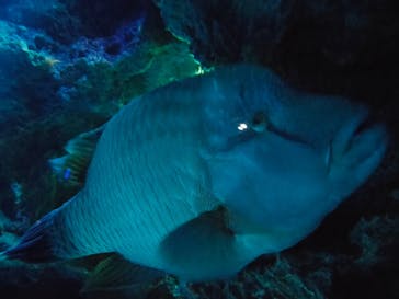 サンシャイン水族館に投稿された画像（2023/6/10）