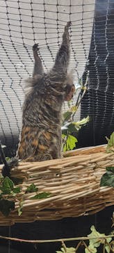 カワスイ 川崎⽔族館に投稿された画像（2023/6/10）