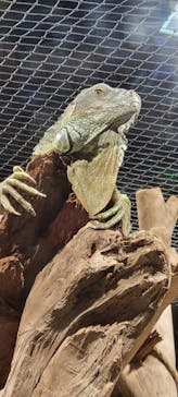 カワスイ 川崎⽔族館に投稿された画像（2023/6/10）