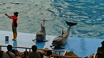 名古屋港水族館に投稿された画像（2023/6/10）