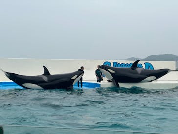 鴨川シーワールドに投稿された画像（2023/6/10）