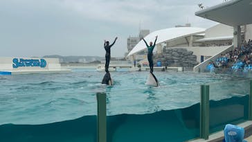 鴨川シーワールドに投稿された画像（2023/6/10）