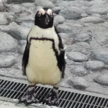 横浜・八景島シーパラダイスに投稿された画像（2023/6/10）