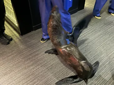 すみだ水族館に投稿された画像（2023/6/10）