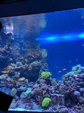 サンシャイン水族館に投稿された画像（2023/6/10）