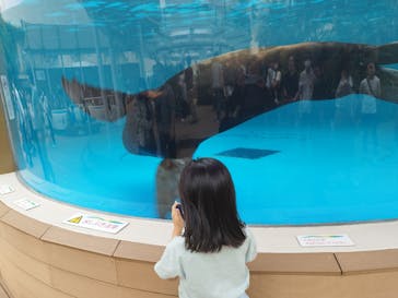 サンシャイン水族館に投稿された画像（2023/6/10）