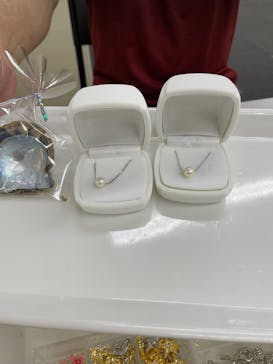 三重県真珠に投稿された画像（2023/6/10）