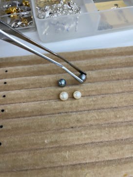 三重県真珠に投稿された画像（2023/6/10）