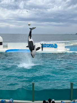 鴨川シーワールドに投稿された画像（2023/6/10）