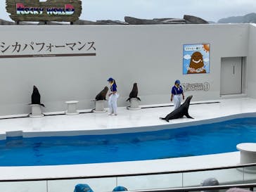 鴨川シーワールドに投稿された画像（2023/6/10）