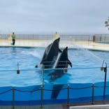 マリンワールド海の中道に投稿された画像（2023/6/10）