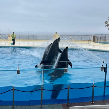 マリンワールド海の中道に投稿された画像（2023/6/10）
