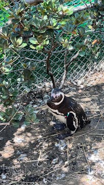 上越市立水族博物館 うみがたりに投稿された画像（2023/6/10）