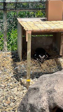 上越市立水族博物館 うみがたりに投稿された画像（2023/6/10）